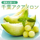 【ふるさと納税】【個数が選べる】 高評価レビュー 千葉アクアメロン マスクメロン 1玉1.4kg 千葉県 南房総市 こだわり 香り 甘味 味わい 化粧箱入り ご褒美 贈り物 お祝い事 フルーツ 果物 お取り寄せ グルメ 送料無料