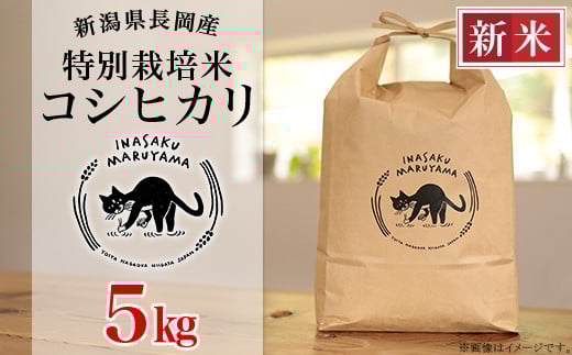 L4-K051A新潟県長岡産 特別栽培米コシヒカリ 5kg
