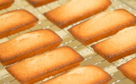 【価格改定予定】お菓子 スイーツ フィナンシェ 10個 おまかせ 個包装 贈答 ギフト デザイン缶 プレーン ショコラ 紅茶 オレンジ いちじく ヘーゼルナッツ 橘マスカルポーネ 黒糖ほうじ茶 季節 