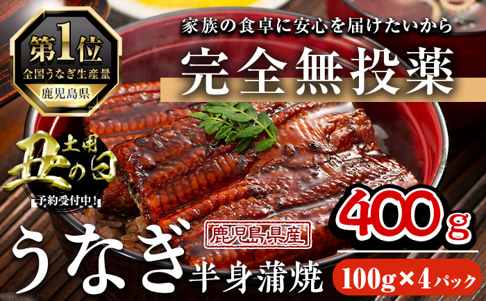 
            ＜丑の日先行予約受付中！＞鹿児島県産うなぎ半身カットセット (100g×4パック、タレ・山椒付き) 鰻 かばやき 冷凍【西日本養鰻】A585-U
          