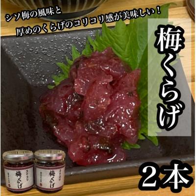 ふるさと納税 小田原市 梅くらげ 2本【小田原で作る梅の珍味、日本酒、焼酎、お酒のあてに。】【神奈川県小田原市早川】