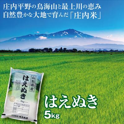 ふるさと納税 酒田市 【令和7年産】山形県産はえぬき 5kg 精米