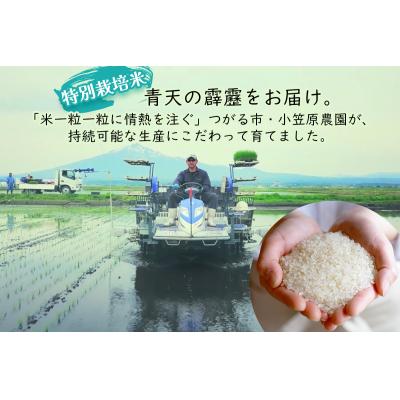 ふるさと納税 つがる市 青天の霹靂(特別栽培米) 白米10kg 令和7年産 [0899] |  | 01