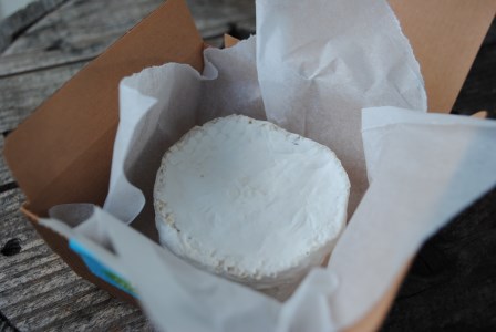 【11月～3月限定・牛乳使用】カマンベールチーズ 約100g×3パック