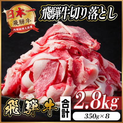 【ふるさと納税】飛騨牛 切り落とし 約2.8kg(約350g×8パック)【冷蔵便】A4～A5等級 黒毛和牛 小分け【配送不可地域：離島】【1544103】