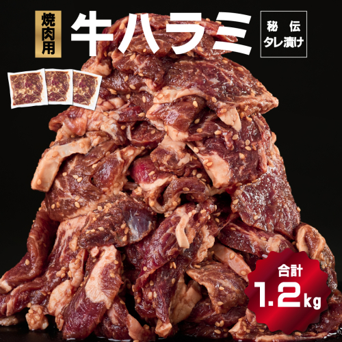 秘伝のタレ漬け！ハラミ焼き肉用 1.2kg B-971