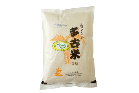 ご飯にはやっぱりカレー!「多古米コシヒカリ2kg」と「せんば牛カレー200g×5」セット_ 精米 米    コシヒカリ 米 こしひかり  惣菜・加工品 カレー  _【配送不可地域：離島】TAKF023