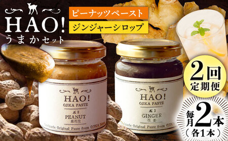【2回定期便】＜HAO!うまかセット＞ ピーナッツペースト＆ジンジャーシロップ 各1本   [DAA040] 落花生 ピーナッツ