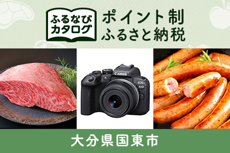 【有効期限なし！後からゆっくり特産品を選べる】大分県国東市カタログポイント