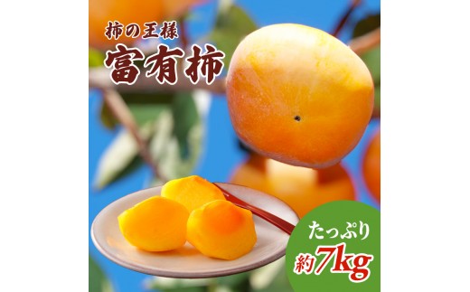 
                  柿 富有柿 ふゆうがき 香川県産 国産 7kg 24〜36玉 甘い 糖度が高い 美しい色合い 食べ応えのある食感 かき カキ 秋の味覚 果物 季節の果物 フルーツ くだもの 果実 御礼 贈答 ギフト 内祝い 手土産 お祝い お取り寄せ 香川県 綾川町
                
