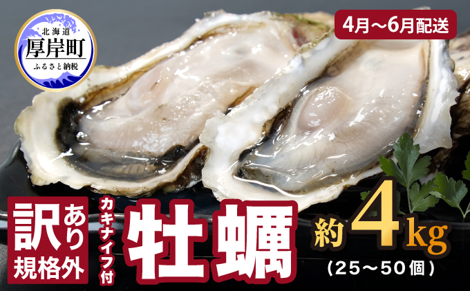 2025年4月～6月配送 訳あり 牡蠣 北海道厚岸産 殻付カキ 約4kg (25～50個) カキナイフ付 生食 魚貝類 海鮮 海の幸 生食用 マルえもん オイスター 