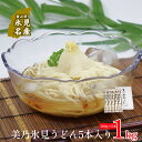 【ふるさと納税】美乃氷見うどん5本入り（200g×5本） 富山県 氷見市 うどん 乾麺