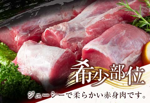 数量限定 豚 ヒレブロック 計3kg以上 肉 豚肉 ヒレ 豚ヒレ 国産 食品 おかず 焼肉 送料無料_CD52-23