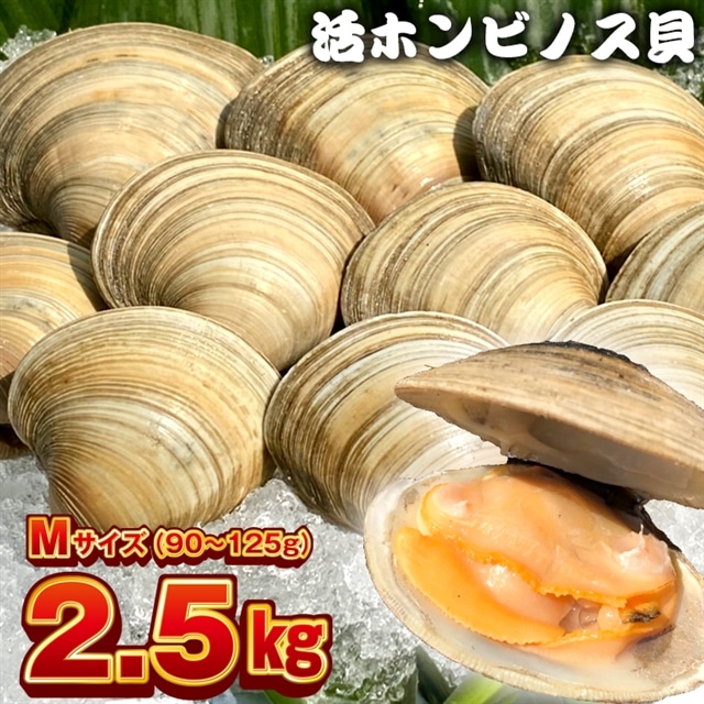 BK-7Mez 漁師直送！活ホンビノス貝2.5kg（Mサイズ）
