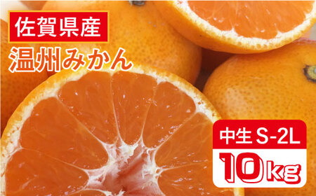 【先行予約・26年10月以降順次発送】佐賀県産 中生みかん 10kg 吉野ヶ里町/リエンサーク [FCC009]