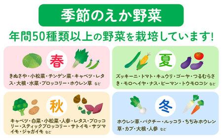 【毎月定期便３回】えか野菜 おまかせ5～7種セット
