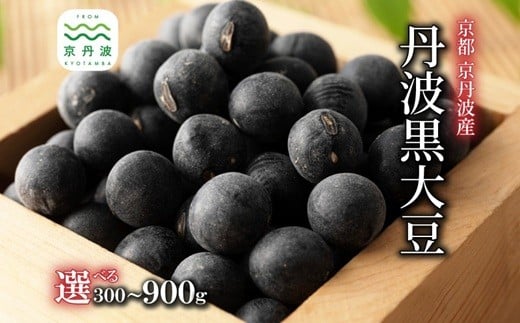 
            丹波黒大豆 選べる サイズ 数量 2L L 300g 600g 900g 京都 京丹波町産 丹波黒豆 新豆 国産 お取り寄せ ご当地グルメ 生産者限定 令和7年産 生豆 大粒 ※北海道・沖縄・その他離島への配送不可　[007KK001X]
          