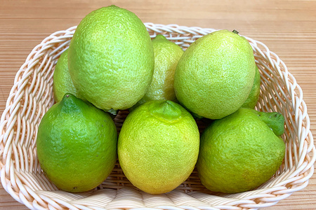 筑波山麓で育ったフレッシュレモン　1kg（訳あり） 1kg 訳アリ 不揃い 訳あり 茨城県 石岡市 B03-008