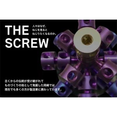 ふるさと納税 岡崎市 THE SCREW(チタン25個セット)パープル系 |  | 01