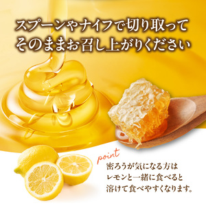  国産 巣みつ 300ｇ 183-004