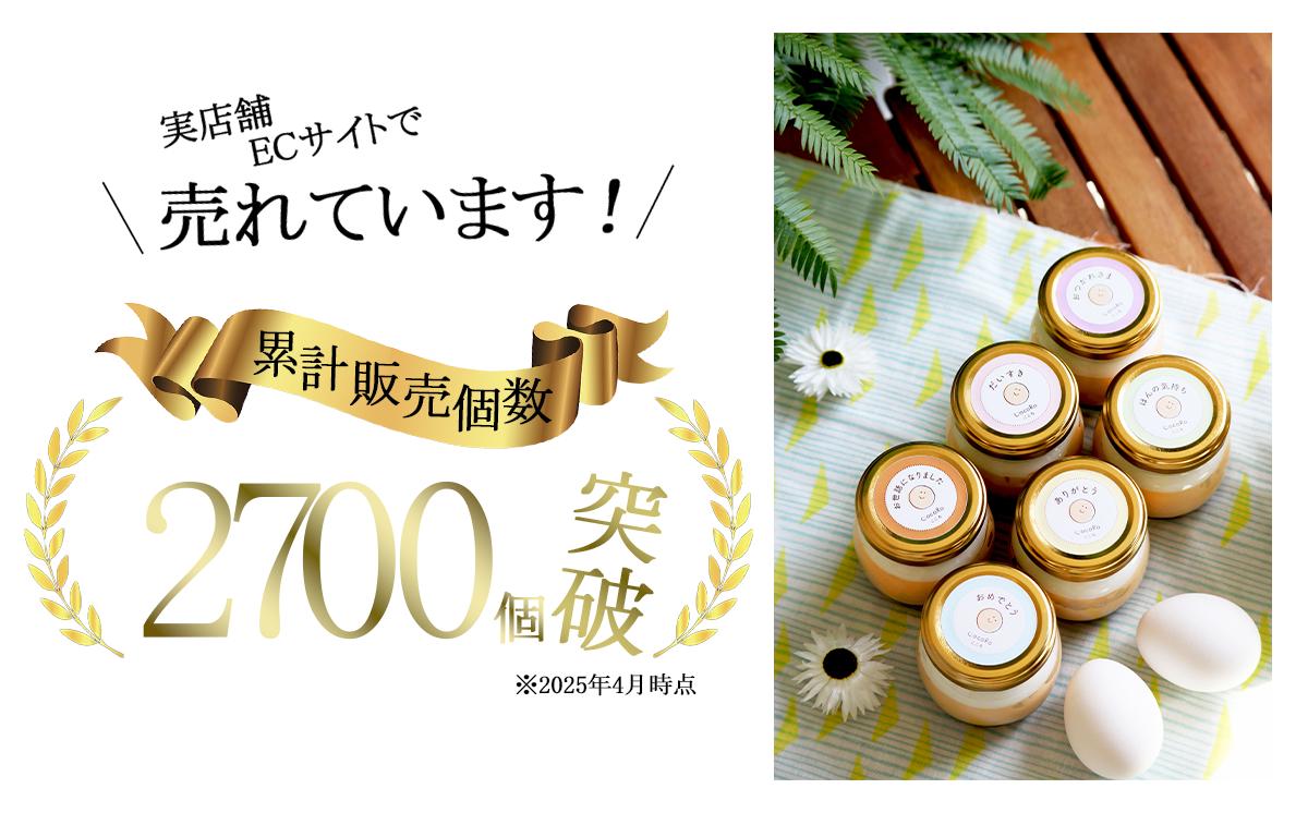 CocoRoプリン 6個セット（ ギフト包装 ＋ メッセージシール「ありがとう」 ）【 茨城県 つくば市 プリン スイーツ 生クリーム カスタードクリーム バニラ 牛乳 卵 国産 甘味 お菓子 デザー