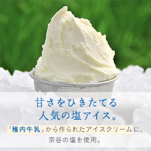 【業務用】JA稚内のおいしいアイスクリーム宗谷の塩2000ml＆【お試し】お刺身用ほたて50g【配送不可地域：離島】【1104324】