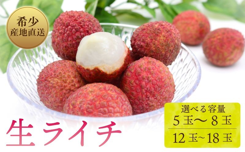 
                  【令和8年6月上旬頃より発送】 先行予約 生ライチ 5～8玉 / 12～18玉 国産 室戸海洋深層水使用 ライチ 果物 くだもの 季節限定 期間限定 数量限定 旬 限定 国産 贈答 ギフト 贈り物 プレゼント 高知県 室戸市
                