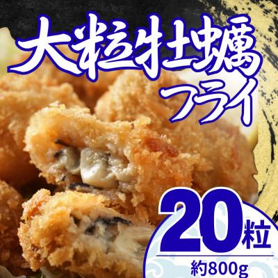 ふるさと納税 大磯町 大粒の牡蠣を使用!カキフライ20粒(約800g)　油で揚げるだけの簡単調理!〜神奈川県大磯町〜