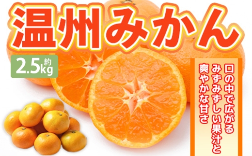 温州みかん 約2.5kg 2S ～ 2Lサイズ みかん ミカン 蜜柑 果物 くだもの フルーツ 柑橘 柑橘系 柑橘類 果実 果肉 国産 熊本県産 【 2026年11月上旬～12月上旬発送予定 】