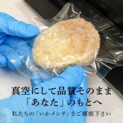 ふるさと納税 南房総市 今話題沸騰中の房総手作り『いかメンチ』100g×10個【冷凍】　mi0047-0005 |  | 02
