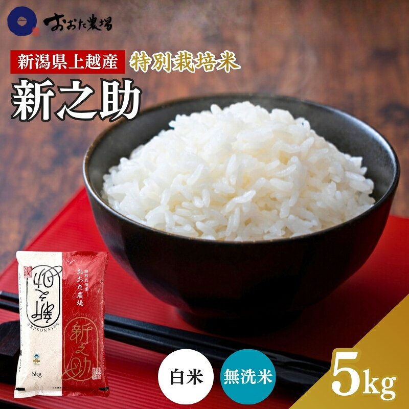 【ふるさと納税】米 【令和7年産】 新潟県上越産 特別栽培米 新之助 【白米/無洗米】 5kg 5キロ お米 こめ 白米 食品 人気 おすすめ にいがた 上越 上越産　お届け：2025年12月下旬から順次発送