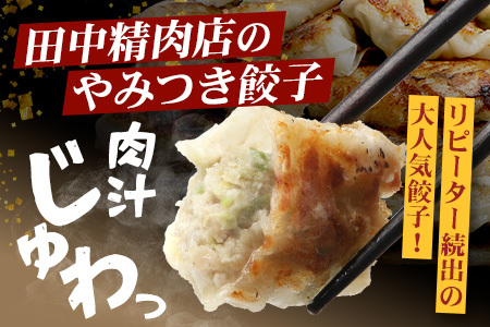 佐多の田中肉屋ニンニクたっぷりやみつき餃子 180個（12個入り×15パック） 餃子のタレ2本付き | ぎょうざ 餃子 ギョウザ にんにく スタミナ餃子 大容量 手作り おかず ビールと一緒に 冷凍 