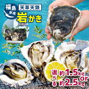 【ふるさと納税】 天領岩牡蠣 約1.5kg または 約 2.5kg 福島水産 牡蠣 かき カキ 岩カキ 岩ガキ 貝 BIG ビッグ 生食 バーベキュー 夏天草 天領 苓北 熊本 旬 シーズン 送料無料