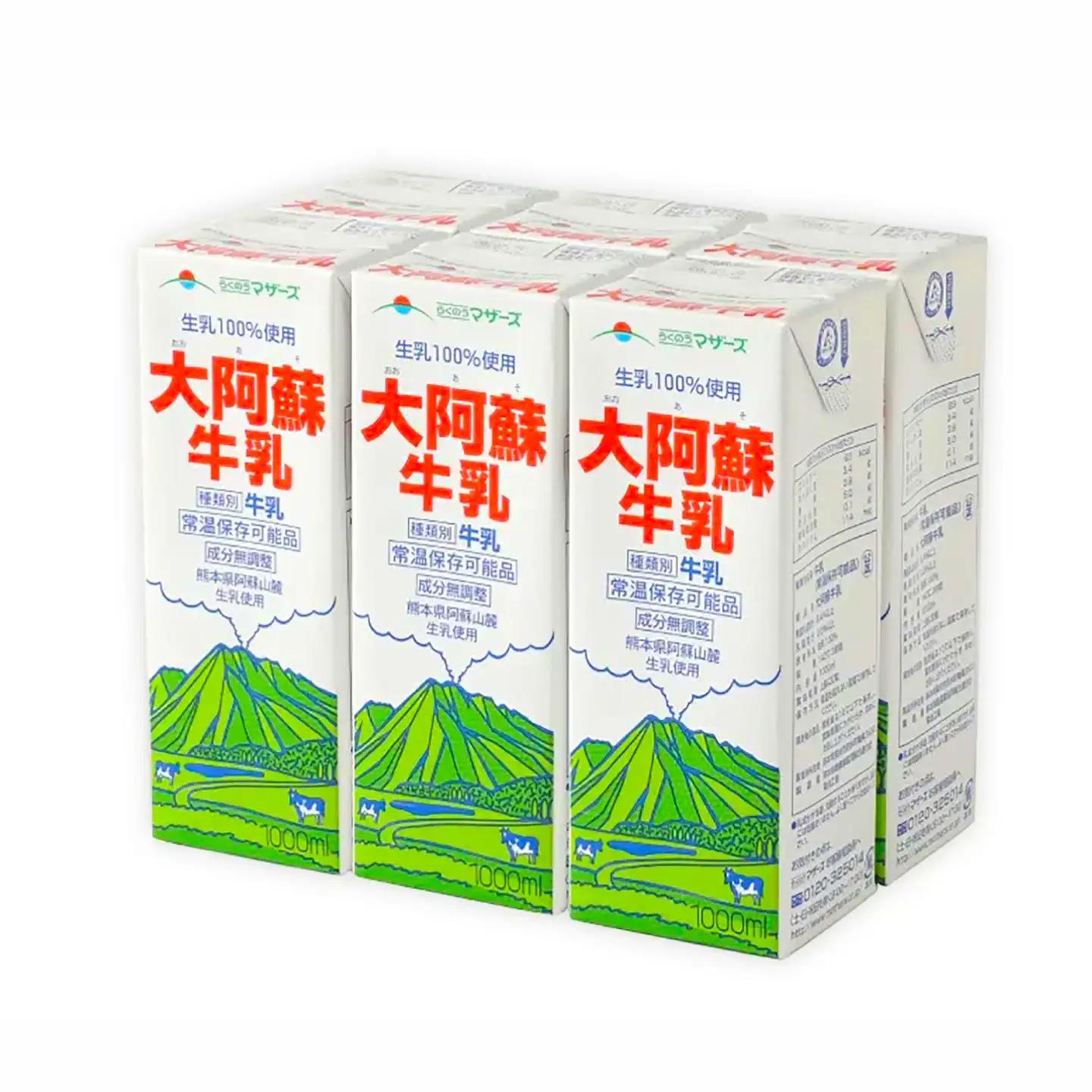 【全12回定期便】大阿蘇 牛乳 1000ml 紙パック 6本入 牛乳 BHBY026