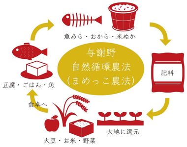 定期便 まないひめ 5kg 6ヶ月定期便 京都府与謝野町産 コシヒカリ 特別栽培米 特A 特A評価 米 お米 ご飯 白米 6回定期便 京都 与謝野