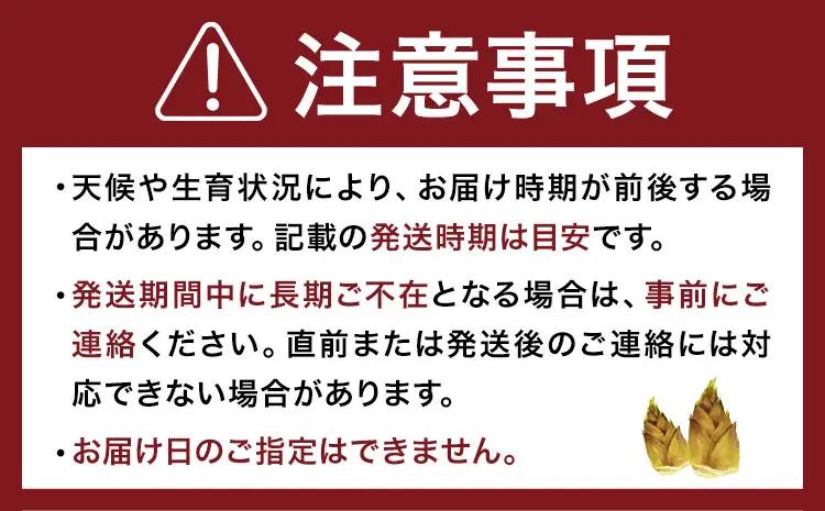 【先行受付】【2回定期便】特選 生たけのこ 食べ比べ 2kg×2回 《3月中旬-4月中旬頃出荷》 熊本県 南関町産 春 筍