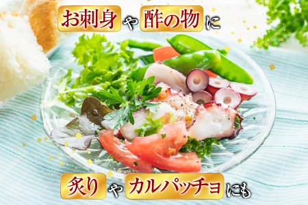 【北海道根室産】たこ足ブロック3～6P(計800g前後～1.4kg前後) A-30059