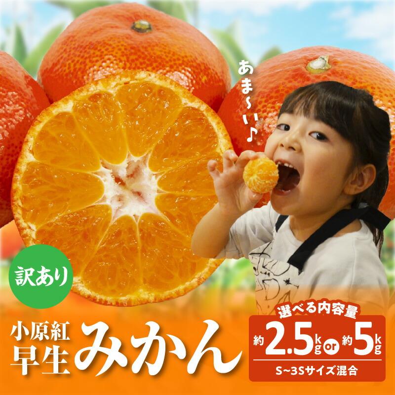【ふるさと納税】内容量が選べる【訳あり】ご家庭用　小原紅早生みかん(サイズおまかせ)【2026年11月中旬～2027年1月中旬配送】 | 柑橘 果物 フルーツ 小玉サイズ S～3Sサイズ 混合 家庭用 赤いみかん 濃厚な甘み グルメ お取り寄せ お取り寄せグルメ 香川県 高松市 送料無料