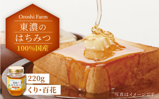 
100％国産岐阜の豊かな自然で取れた東濃のはちみつ 220g（くり） 非加熱 天然 国産 [MAB006]
