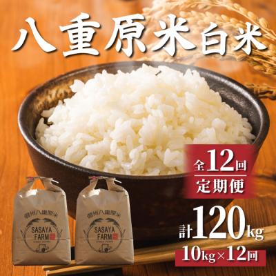 ふるさと納税 東御市 令和7年新米受付【12回定期便】東御市産八重原米10kg(白米)※2025年10月以降発送|笹屋農園
