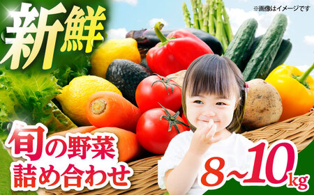 とくとく市場厳選 旬の野菜詰合せ セット  野菜BOX 旬 厳選 野菜セット 野菜 詰め合わせ 食材 新鮮 産地直送 おまかせ 送料無料 青果 愛西市 / 有限会社FKMジャパンダイニング【配達不可：離島】[AEAE001]