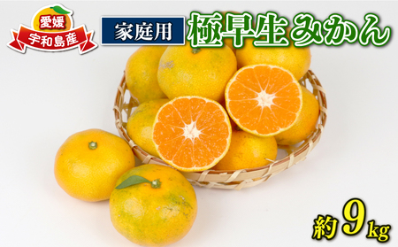 愛媛みかん 極早生みかん 9kg 家庭用 植村農園 先行予約 極早生極早生極早生 B010-153001