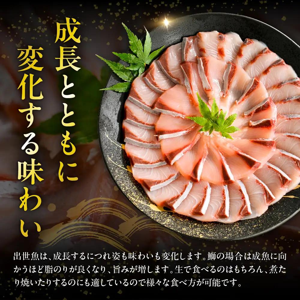 北海道 日高産 ぶり 半身800g以上