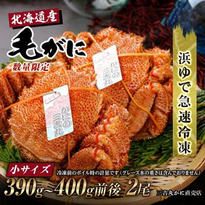 ふるさと納税 白老町 北海道産ボイル毛ガニ 390g〜400g前後×2尾 冷凍