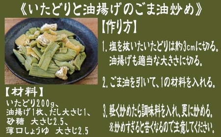 いたどり 約2kg 冷凍 塩漬け 春の山菜 山菜の里 高知 土佐 スカンポ イタドリ イタズリ 【グレイジア株式会社】 [ATAC511]