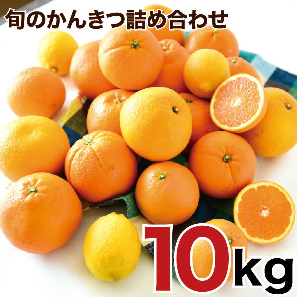 【ふるさと納税】特選 みかん類 旬の柑橘詰め合わせ 10kg | 八朔 いよかん ポンカン ネーブル 清見 はるみ 甘夏 不知火 等 みかん 柑橘 バランス フルーツ 果物 くだもの みかん 人気 おすすめ 和歌山 有田市（A156-3）