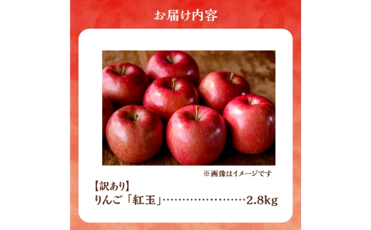 【先行予約：2026年10月中旬より発送】訳アリ りんご（紅玉）2.8kg【北海道余市町産】