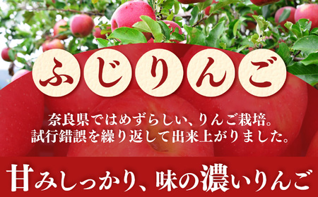 【堀内果実園】奈良県産のふじりんご 約3kg（ご家庭用） ❘ フルーツ くだもの 果物 りんご 林檎 リンゴ ふじりんご  奈良県 五條市
