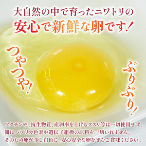 卵 有機卵 15個+割れ保証5個 計20個 平飼い 卵