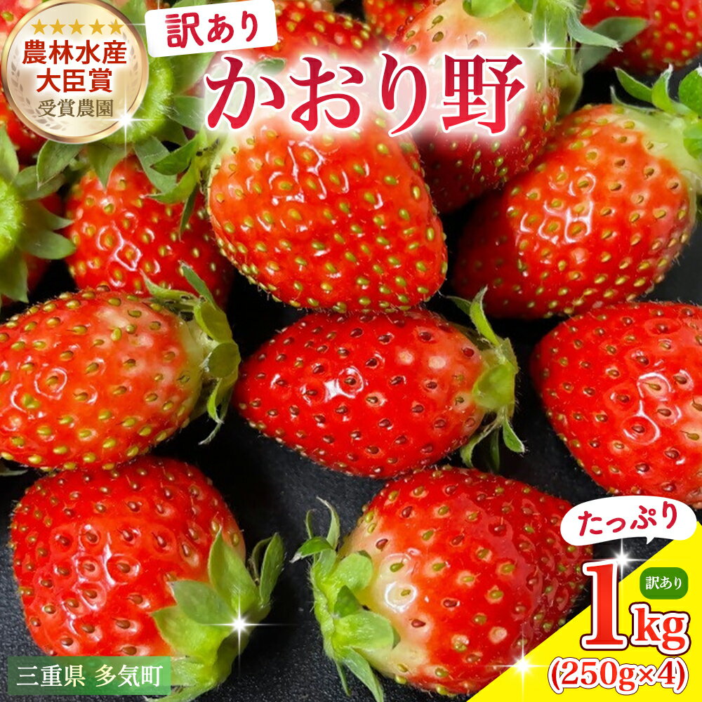 【ふるさと納税】（粒の大きさ指定不可）農林水産大臣賞受賞農園からお届けする　訳アリ　かおり野　1kg（250g×4P）/いちご　三重県多気町　ISH-03